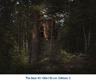 The Bear #3 100x130 cm. Edition: 5