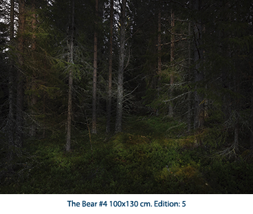 The Bear #4 100x130 cm. Edition: 5