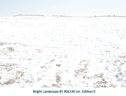 Bright Landscape #1