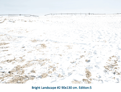 Bright Landscape #2