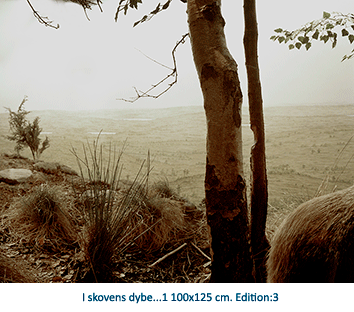 I skovens dybe...1