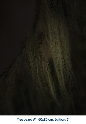 Treebeard #1 60x80 cm. Edition: 5