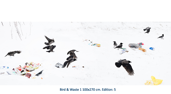 Bird & Waste 1