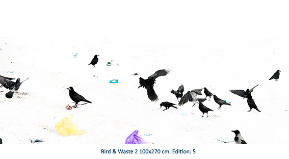 Bird & Waste 2
