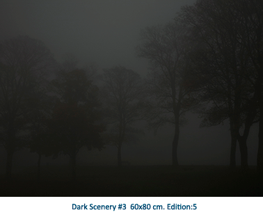 Dark Scenery #3