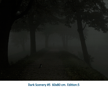Dark Scenery #5