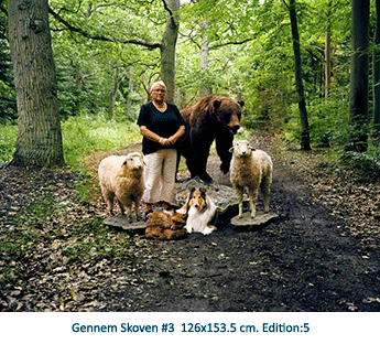 Gennem Skoven #3