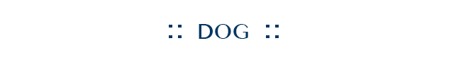 Dog Collection