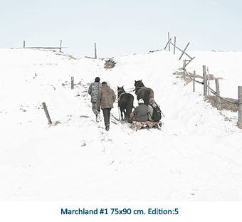 Marchland #1