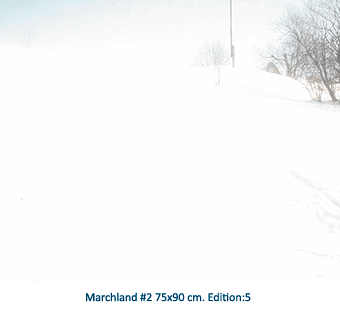 Marchland #2