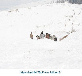 Marchland #4