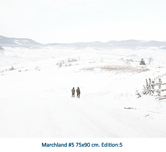 Marchland #5
