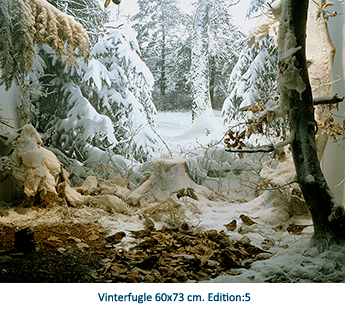Vinterfugle