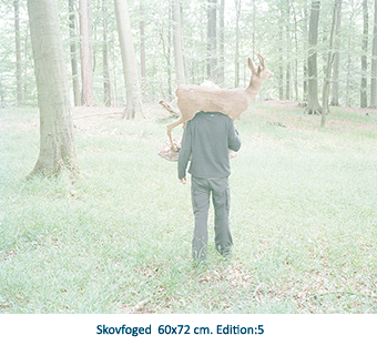 Skovfoged